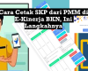 Cara Cetak SKP dari PMM di E-Kinerja BKN, Ini Langkahnya