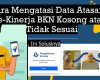 Cara Mengatasi Data Atasan di e-Kinerja BKN Kosong atau Tidak Sesuai, Ini Solusinya